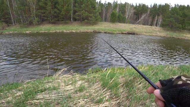 Рыбалка на реке Нейва. Микроджиг в Мае. Весенние щуки и окуни! смотреть онлайн