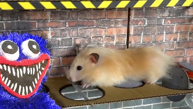 Хомяк ныряет в унитаз чтобы убежать из тюрьмы вместе с Хагги Вагги.