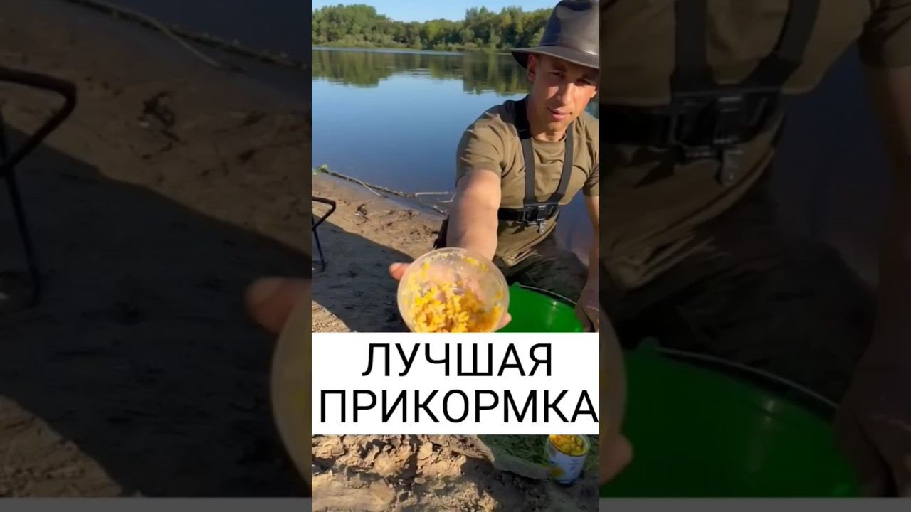 МОЙ РАБОЧИЙ РЕЦЕПТ ПРИКОРМКИ #рек #fish #fishing #рыбалка #лещ #лещнафидер #реки #фидер смотреть онлайн