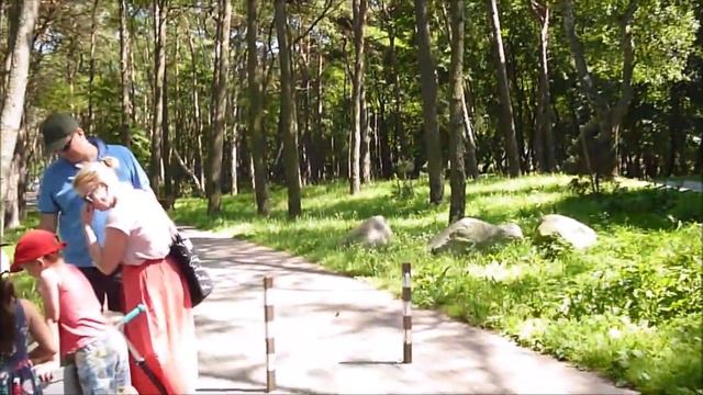 КАЛИНИНГРАД ПЛЮСЫ. КАК КАЛИНИНГРАДЦЫ ОТДЫХАЮТ И ЖИВУТ У МОРЯ? Возможно ли купить квартиру у моря? смотреть онлайн