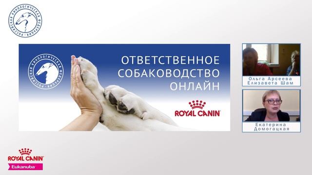 Временные правила проведения зоотехнических мероприятий в системе РКФ: ответы на вопросы смотреть онлайн