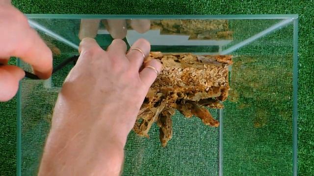 Королевский краб, или как оформить аквариум для леопардового краба | aquarium crab смотреть онлайн