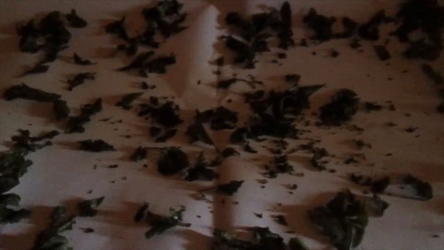 Чай, русский чай, вишнёвый чай Летние будни #2 смотреть онлайн