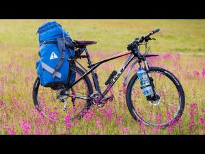 Следующее путешествие. Больше не амбассадор. Донаты.