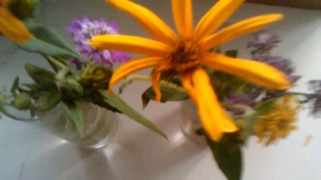 Эксперимент с цветами и батарейками смотреть онлайн