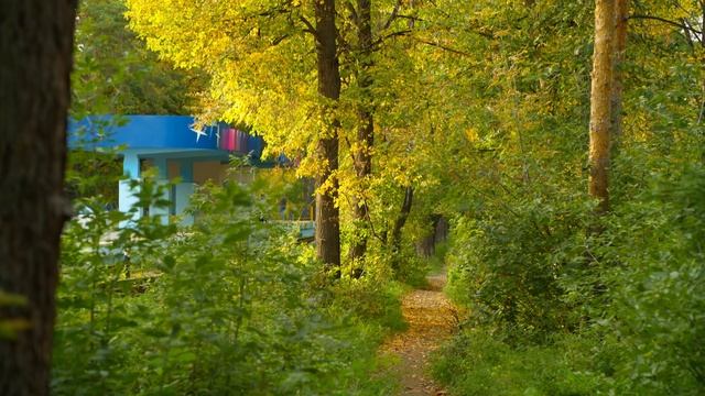 Начало осени в парке / Sigma FP смотреть онлайн