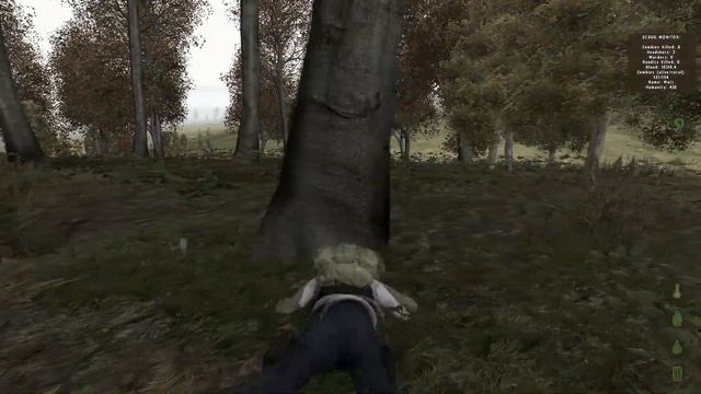 DayZ - Stalking and Revenge смотреть онлайн