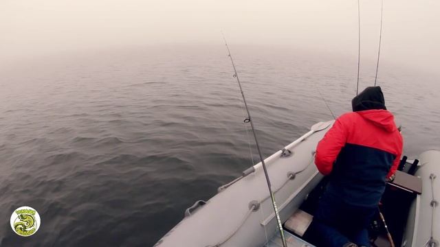 ДЖИГ ПРОТИВ ТВИЧИНГА смотреть онлайн