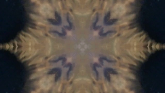 Phase Destructin - Focus