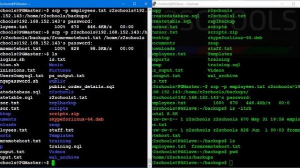 Linux scp command with examples