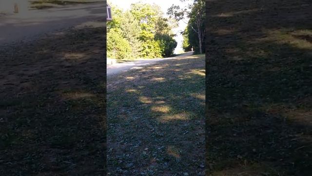 осваиваем сегвей (segway) смотреть онлайн