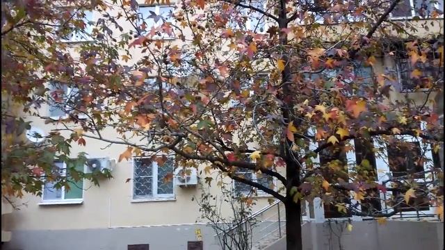 НОЯБРЬ СВОИ РИСУЕТ КРАСКИ. смотреть онлайн