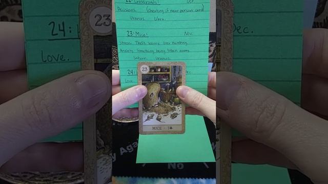 Let's Chat: Lenormand, cards 19-27 смотреть онлайн