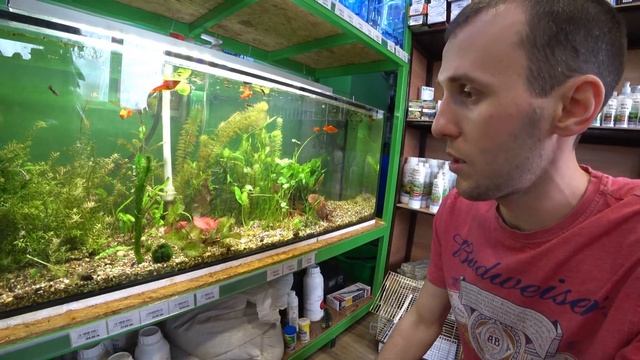 VLOG: один день из моей жизни // работаю по хозяйству и строю планы на будущее смотреть онлайн
