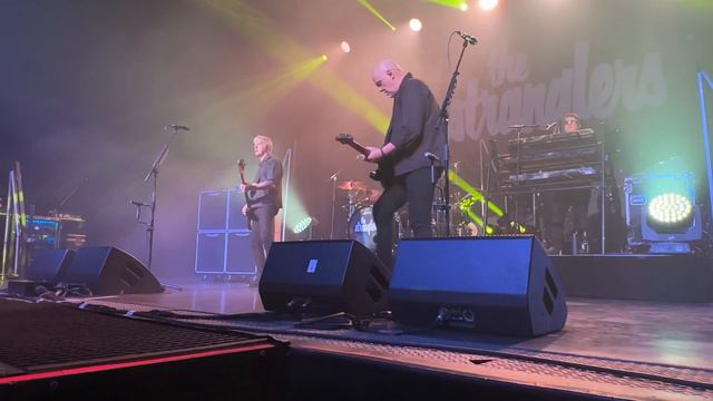 The Stranglers /Golden Brown / Concert au Fil Saint Étienne смотреть онлайн