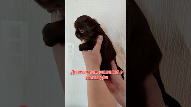 YouCut 20230421 202934936 смотреть онлайн