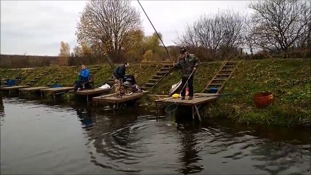 Ловля Форели. Спортзона. Савельево на Ленинградке. 21.10.18г. смотреть онлайн