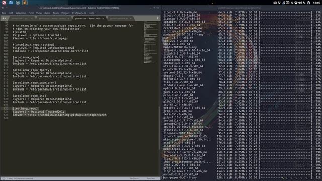 ArcoLinux : 1043 how to add your own personal repository to the ArcoLinuxB iso смотреть онлайн
