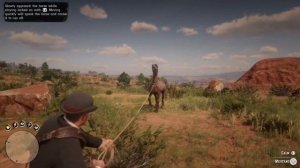 RDR2- !!LOCATION On RARE Tiger Striped Bay Mustang!!