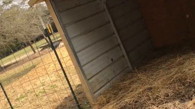 Harmony Park Safari Huntsville, AL смотреть онлайн