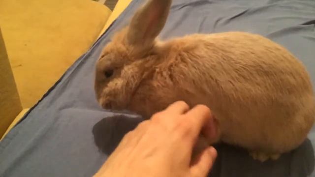 Арсений недоволен смотреть онлайн