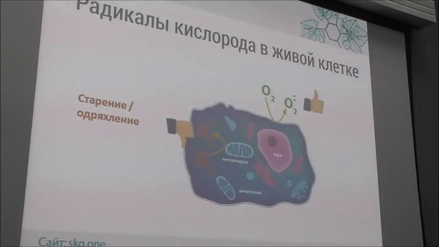 Старение как вредоносная программа, которую можно отключить М. Скулачев МГУ смотреть онлайн
