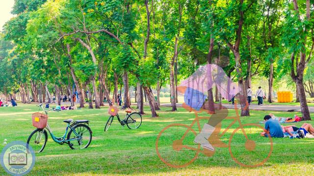 Hikayelerle İngilizce Öğren 8 | In The Park | Present Continuous Tense | A1 Listening Practice | смотреть онлайн