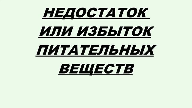 БОЛЕЗНИ ХРИЗАНТЕМ смотреть онлайн