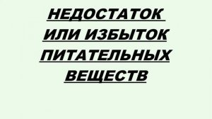 БОЛЕЗНИ ХРИЗАНТЕМ