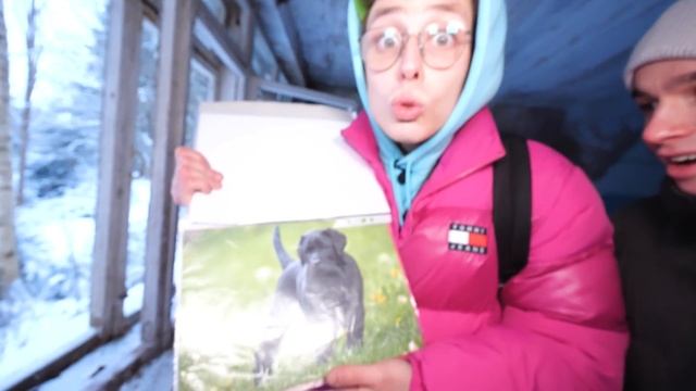 Серия 8 - CARTOON CAT проиграл CARTOON DOG **что нам делать?**