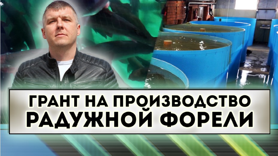 Грант на производство радужной форели смотреть онлайн