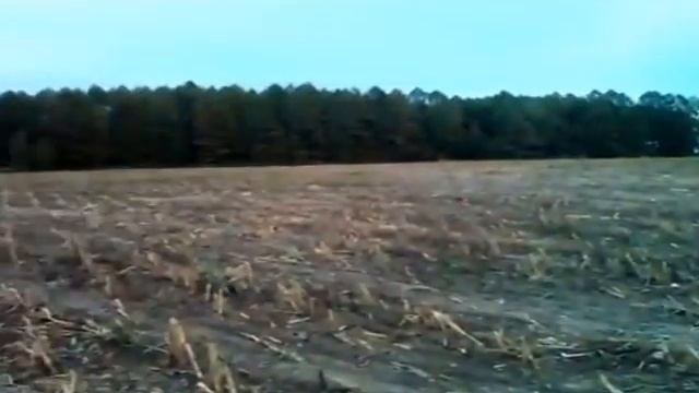 Feed the rabbit! How and what to feed rabbits!!!Корма для кролика! Как и чем откормить кроликов!!! смотреть онлайн