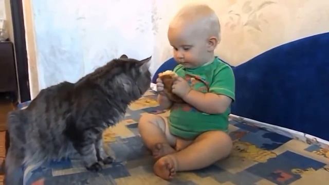 Кошка, Малыш и батон хлеба!