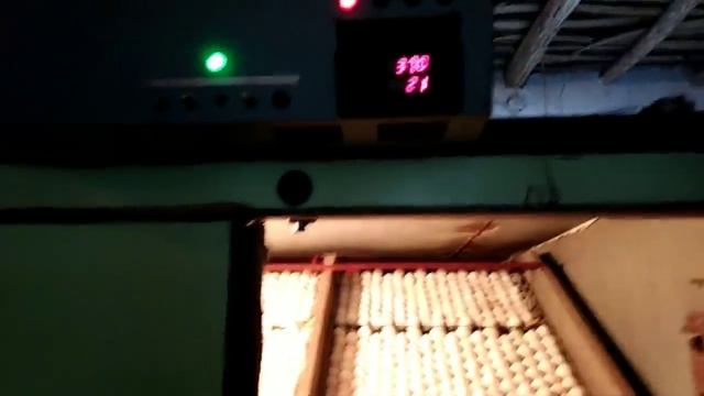 УЗБда мана сизга бизнес 5 000$ пул топиш ёли смотреть онлайн