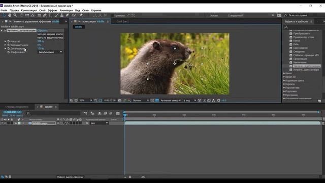After Effects Увеличение размера кадра без потери качества