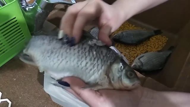 Как быстро почистить рыбу 2 смотреть онлайн