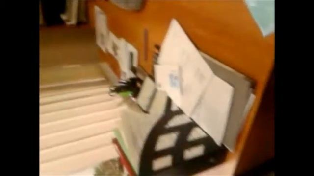Соцзащита отказывает в помощи ветерану и инвалиду !!! смотреть онлайн