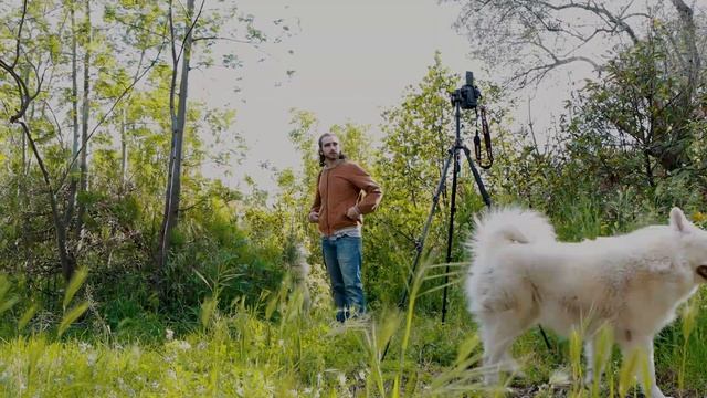 Canon Eos m50 vs 6D mark II (Full Frame) - ¿Hace falta una cámara profesional? смотреть онлайн