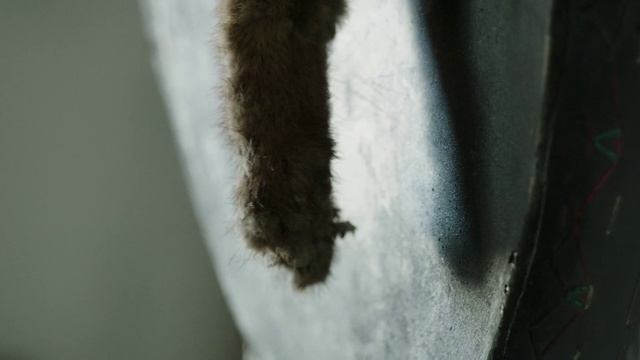 Седьмая руна, 4 серия смотреть онлайн