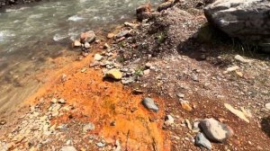 Кавказ. Долина нарзанов,бабочки и минералка #кавказ #бабочки #nature #travel