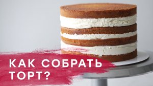 Как собрать торт_Сборка торта