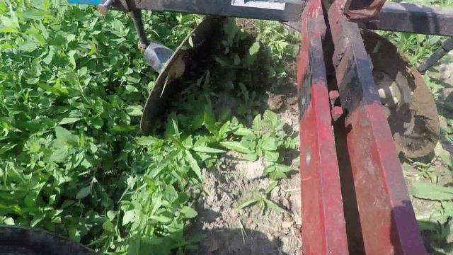 Окучивание дисковым окучником смотреть онлайн