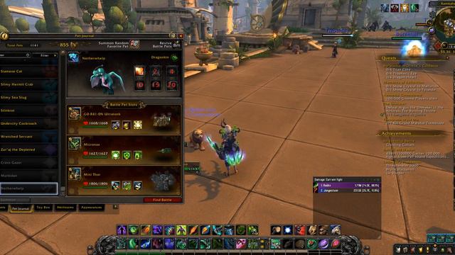 Возвращение коллекционных маунтов: Цилини из Коллекционного издания MoP (спекулируем на теме) смотреть онлайн