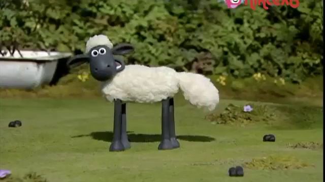 Баранчик Шон сезон 1 серія 1 смотреть онлайн