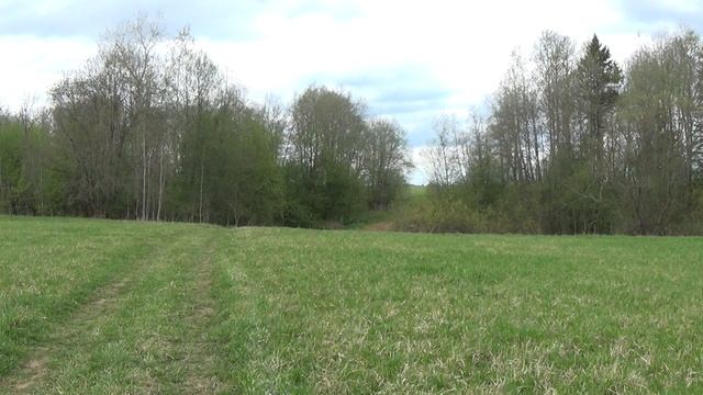 Соловьи поют 16 мая 2022. смотреть онлайн