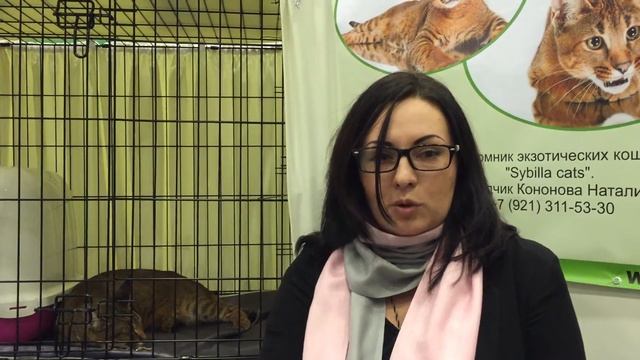 #8. Каракет (Caracat). На видео Минерва Макгонагалл Каталея. смотреть онлайн