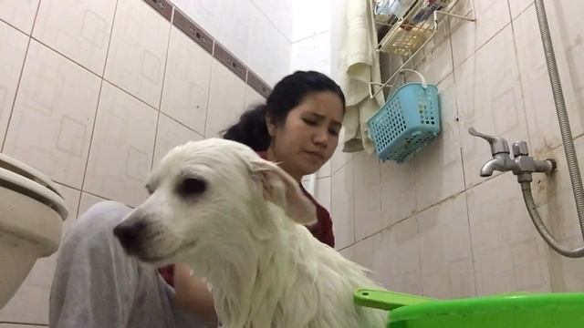 #babat time my dogie. By Perl Joy official vlog смотреть онлайн