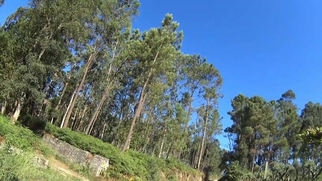 Третий день Камино Португез 2016 Camino de Santiago смотреть онлайн