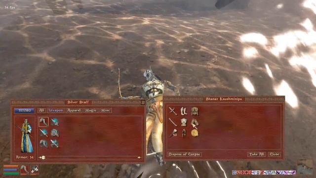 Let's Hardcore Morrowind #116 Dunkelelfen Klatschen