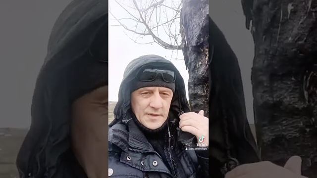Сонник. Разбитое молнией дерево.mp4 смотреть онлайн